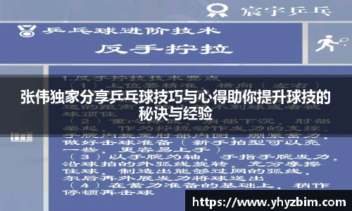 张伟独家分享乒乓球技巧与心得助你提升球技的秘诀与经验
